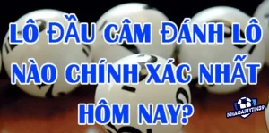 Lô đầu câm là gì? Kinh nghiệm đánh lô câm đầu hiệu quả