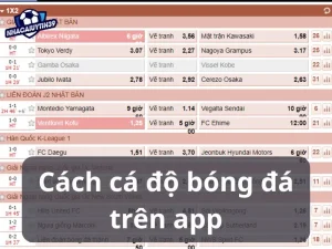 Phần mềm cá độ bóng đá chuyên nghiệp nhất hiện nay