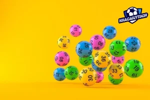 Hướng dẫn nuôi lô cặp song thủ khung 3 ngày đơn giản nhất