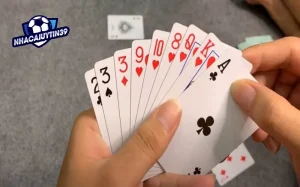 Cách Chơi Phỏm: Bí Quyết Để Thành Công Từ Game Bài Hấp Dẫn