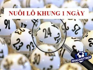 Nuôi lô khung 1 ngày – Hướng dẫn chi tiết dành cho người mới