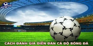 Top các diễn đàn cá độ bóng đá uy tín nhất hiện nay