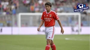 Paris Saint-Germain chuyển nhượng, chiêu mộ thành công Joao Neves