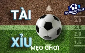 Kèo tài xỉu 2-2.5: Cách đọc kèo và mẹo chơi hiệu quả