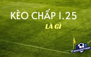 Kèo chấp 1 1/4, cách đọc và kinh nghiệm bắt kèo hiệu quả